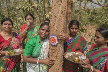 जमुना टुडु, महिलाओं की सेना बनाकर, जंगल माफ़िया से लोहा ले रही हैं.