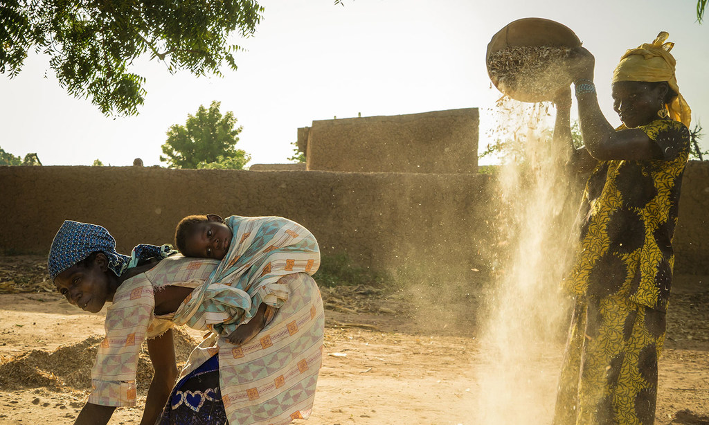PBB bekerja membangun ketahanan pangan, yang pada gilirannya, membangun ketahanan iklim di Mali.