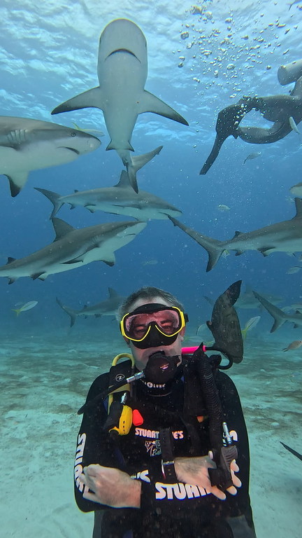 联合国环境规划署项目管理官员格里姆斯迪奇（Gabriel Grimsditch）在巴哈马与加勒比海礁鲨一起潜水。