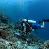 2015 年，格里姆斯迪奇（Gabriel Grimsditch）在马尔代夫北阿里环礁调查珊瑚的健康状况。