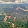 Suriname é o país mais florestado do mundo, mas suas florestas tropicais intocadas estão sendo ameaçadas, entre outros fatores, pela mineração de ouro, bauxita e caulim