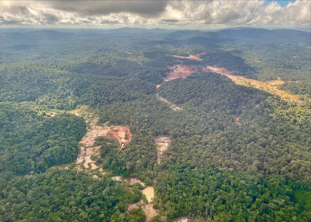 Suriname é o país mais florestado do mundo, mas suas florestas tropicais intocadas estão sendo ameaçadas, entre outros fatores, pela mineração de ouro, bauxita e caulim