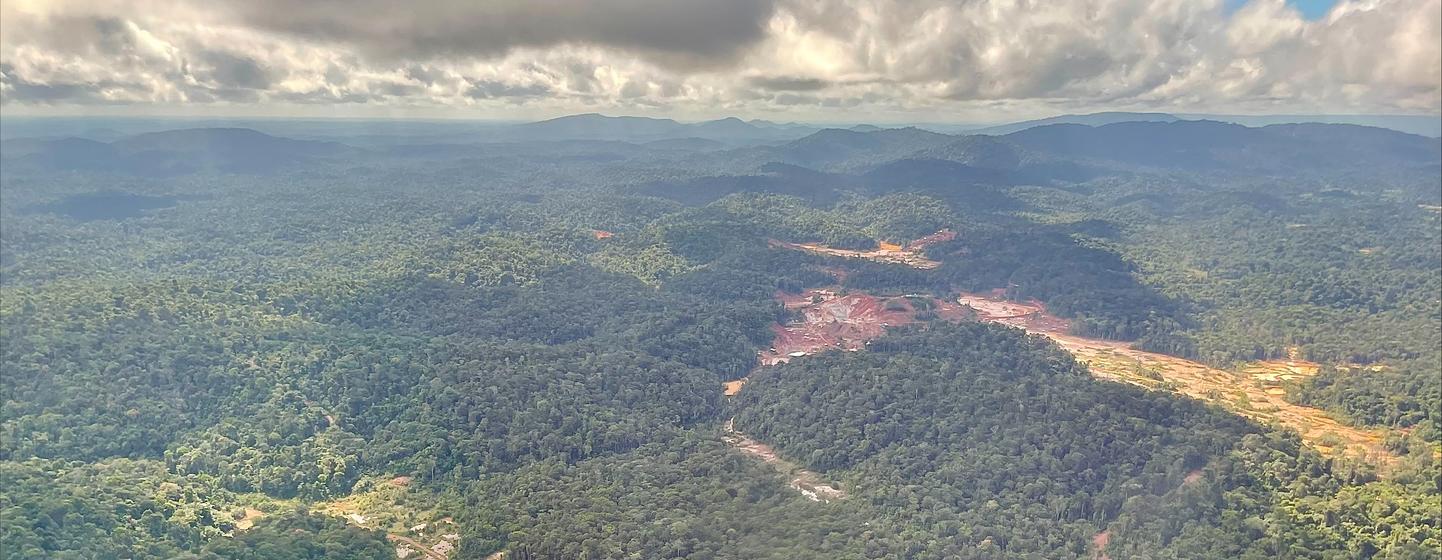Le Suriname est le pays le plus boisé du monde, mais ses forêts tropicales vierges sont menacées, entre autres, par l'exploitation minière de l'or, de la bauxite et du kaolin.