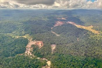 سورينام هي واحدة من أكثر البلدان خضرة في العالم، لكن غاباتها المطيرة مهددة بسبب التعدين
