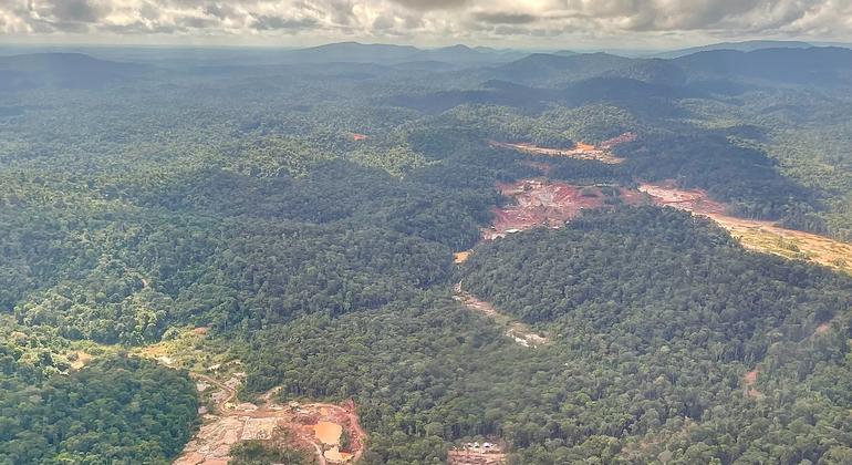 Vista aérea de la Reserva Natural de Surinam Central