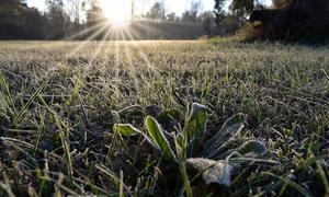 Las temperaturas se han desplomado en el sur de Sudamérica en una rara ola de frío polar. En la imagen, heladas a primera hora de la mañana en Argentina.
