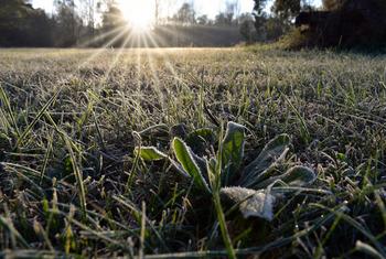Temperatures have plummeted across southern South America in a rare polar cold wave. Pictured here, early-morning frost in Argentina.