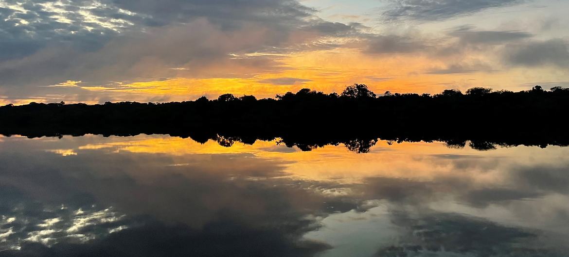 Parque Nacional do Jaú, estado do Amazonas, no noroeste do Brasil.