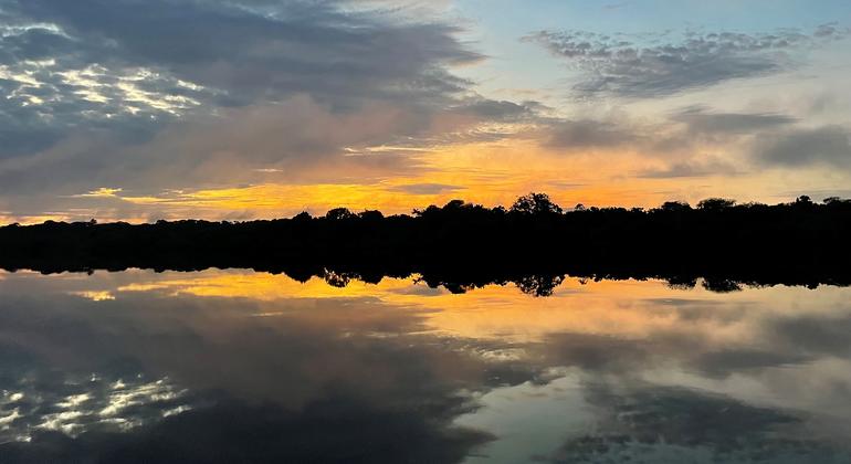 Parque Nacional do Jaú, estado do Amazonas, no noroeste do Brasil.
