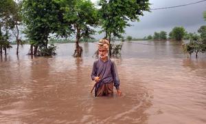 Flood affected areas of Sialkot and Hafizabad districts of Pakistan's Punjab province.