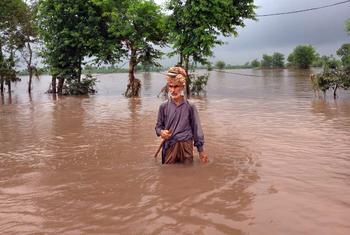 पाकिस्तान के पंजाब प्रान्त में सियालकोट व हाफ़िज़ाबाद ज़िले बाढ़ से बुरी तरह प्रभावित हुए हैं.