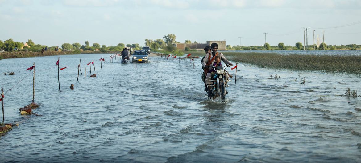 Floodwaters in Umerkot district, Sindh Province, Pakistan.