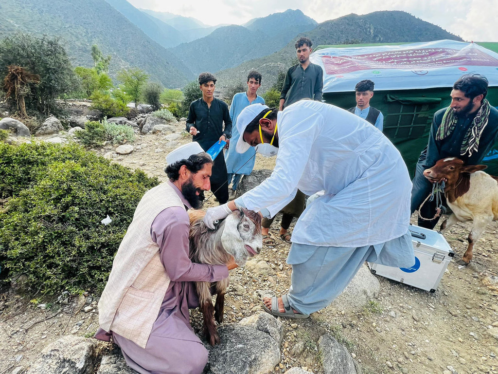 سفید یونیفارم میں ایک FAO کارکن افغانستان کے ایک دیہی، پہاڑی علاقے میں ایک بکری کی دیکھ بھال کر رہا ہے، جب کہ ایک مقامی آدمی جانور کو پکڑے ہوئے ہے اور کئی دوسرے دیکھ رہے ہیں۔