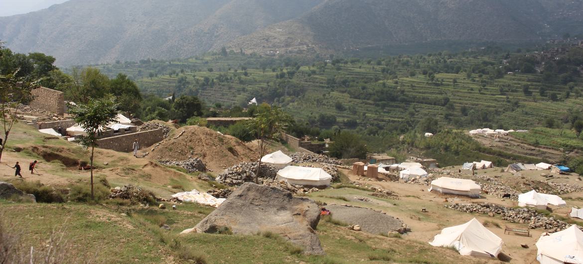 media:entermedia_image:3405c01b-669a-479e-a6c8-e9a0fe59262e