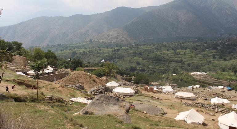 media:entermedia_image:3405c01b-669a-479e-a6c8-e9a0fe59262e