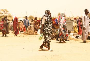 Refugees, most of them women and children, who fled violence in El Fasher and other parts of Darfur, arrive in Chad. Refugees, most of them women and children, who fled violence in El Fasher and other parts of Darfur, arrive in Chad.