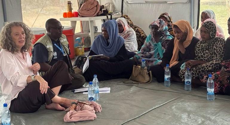 دينيس براون، منسقة الأمم المتحدة المقيمة ومنسقة الشؤون الإنسانية في السودان، مع أفراد المجتمع المحلي خلال زيارتها لمنطقة طويلة، شمال دارفور.