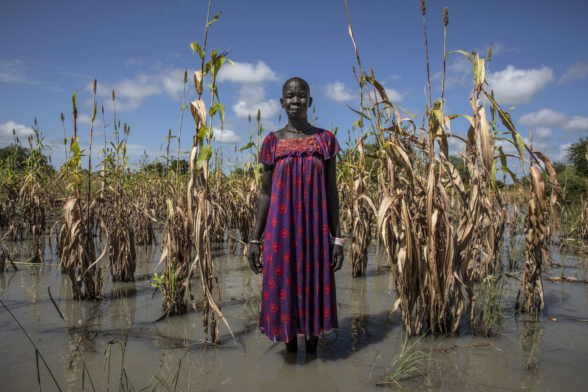 Nyadend Majok akiwa amesismama kando ya shamba lake la mtama lililosambaratishwa na mafuriko nchini Sudan Kusini
