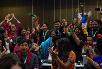 Participantes de la COP16 en Cali, Colombia, durante la sesión plenaria del 1 de noviembre de 2024.