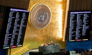 Result of the General Assembly vote on a draft resolution on return of Ukrainian children.