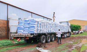 FAO staff in Gedaref facilitate the transportation of seed to Kordofan and Darfur in Sudan.