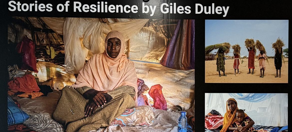 أُصيبت نوالي بشلل الأطفال في طفولتها، واضطرت للزحف من دارفور إلى تشاد بحثًا عن الأمان بعد أن كسرت الميليشيات كرسيها المتحرك.