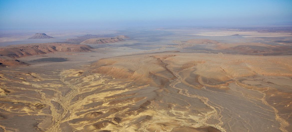 media:entermedia_image:5b116eb7-35d7-40a6-b340-33fead417d53