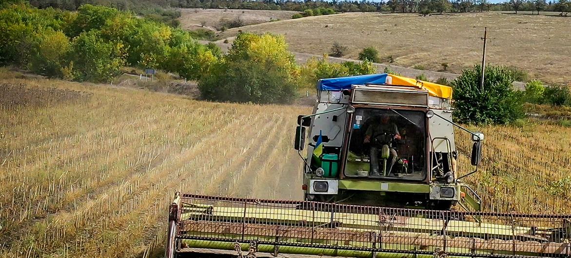 Para os agricultores ucranianos, a guerra significou incapacidade de exportar seus produtos