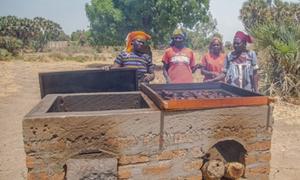 Nchini Cameroon, FAO imepatia mafunzo wanawake 60 na wanaume 26 matumizi ya majiko ya kuoka aina ya Chokor kwa ajili ya kubanika kwa moshi samaki na hivyo kuongeza ubora wa samaki na halikadhalika kuongeza vipato vyao.