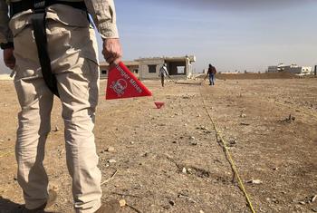 More landmines were laid in Syria during the nearly 14-year conflict. (file)