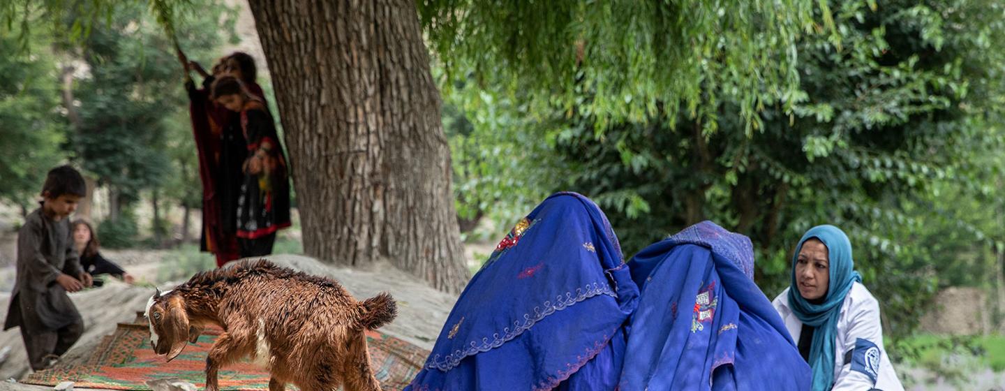 Une chèvre passe devant un groupe de personnes, dont deux femmes en burqa bleu et un travailleur médical en blouse blanche, assis sur un tapis dans un cadre rural en plein air.