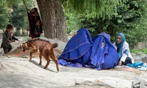 An IOM mental health and psychosocial support counsellor leads a session with women in Paktika province, Afghanistan.