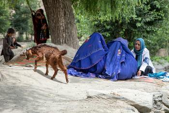 An IOM mental health and psychosocial support counsellor leads a session with women in Paktika province, Afghanistan.