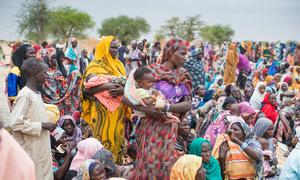 Hundreds of newly arrived Sudanese refugees gather to receive UNHCR relief kits at the Madjigilta site in Chad's Ouaddaï region.