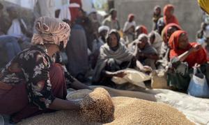 A beneficiary sorts food rations at a WFP food distribution in Tigray Region’s Southern zone.