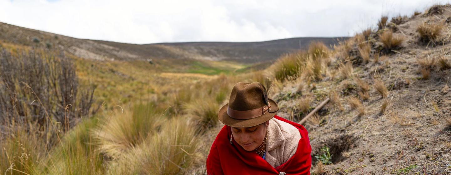 Une femme aide à restaurer des terres dégradées en Équateur.