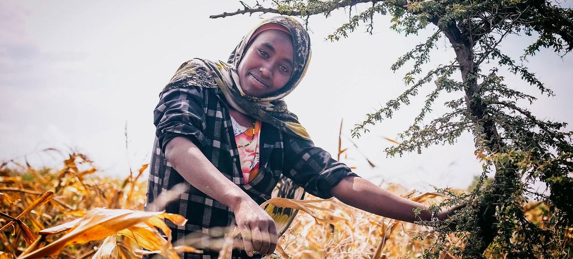 A restauração de terras é um caminho fundamental para alcançar a segurança alimentar de pessoas vulneráveis que vivem na África.
