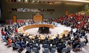 UN Security Council members voting in favour of the draft resolution.