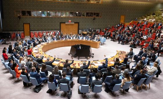 UN Security Council members voting in favour of the draft resolution.