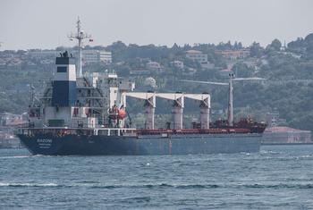 “黑海谷物协议”下的首艘运粮船（2022年8月图片）。