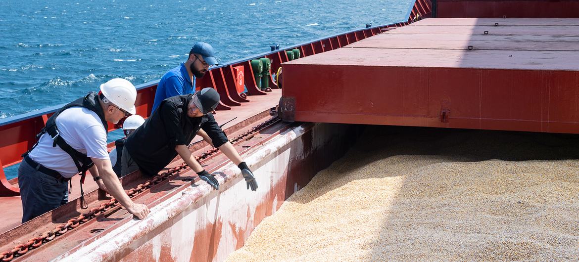 Une équipe d'inspection d'une cargaison de céréales dans le cadre de l'Initiative céréalière de la mer Noire.