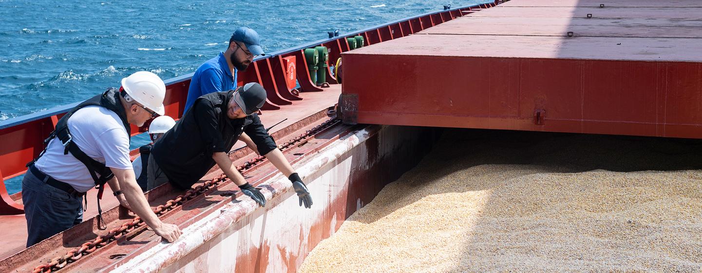 Une équipe d'inspection d'une cargaison de céréales dans le cadre de l'Initiative céréalière de la mer Noire.