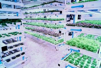 A Fida foi elogiada pelo esforço inovador na promoção de transparência, eficiência, e sustentabilidade na cadeia logística de agricultura