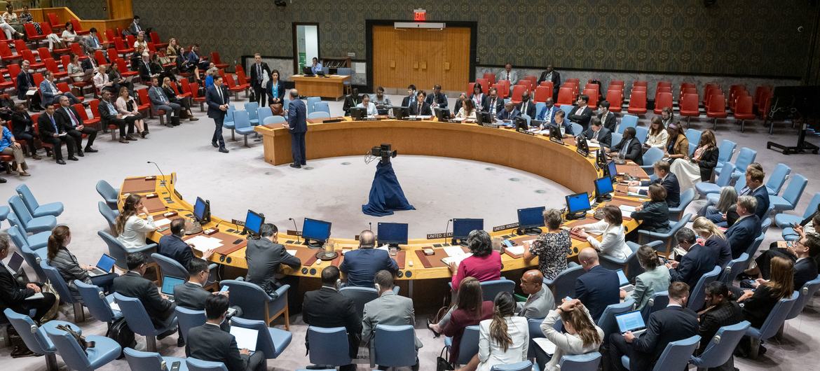 A wide view of the Security Council meeting.