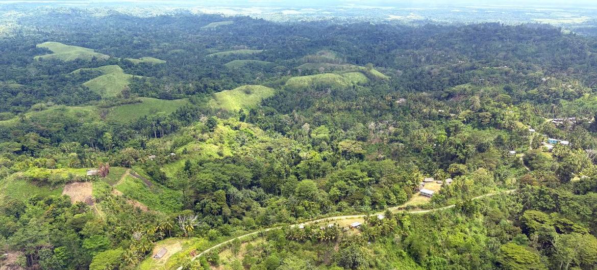 media:entermedia_image:dbe2a740-5799-4768-be4c-bc209a3bda1b