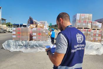 Распределение медицинских материалов в Ливане.