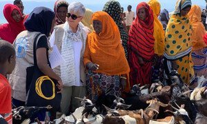 Barbara Manzi, UN Resident Coordinator in Burkina Faso, with women farmers in Djibouti. (File 2019)