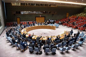 Resolução 2653 exige o fim imediato da violência, das atividades criminosas e abusos 