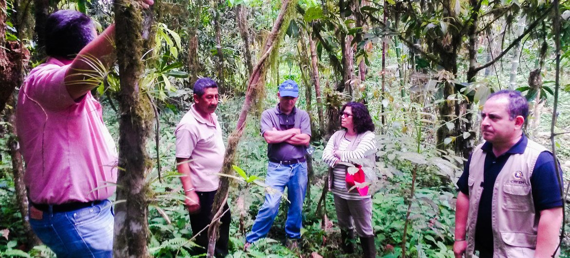 Rodney Martínez, representante regional de la Organización Meteorológica Mundial para Amércia del Norte, Centroamérica y el Caribe durante una visita de campo.