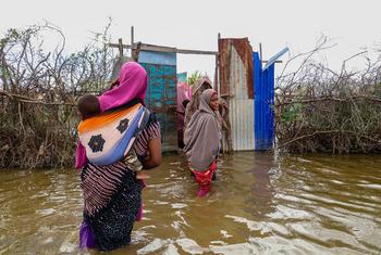 在索马里乔哈尔市，妇女们在洪水中涉水。